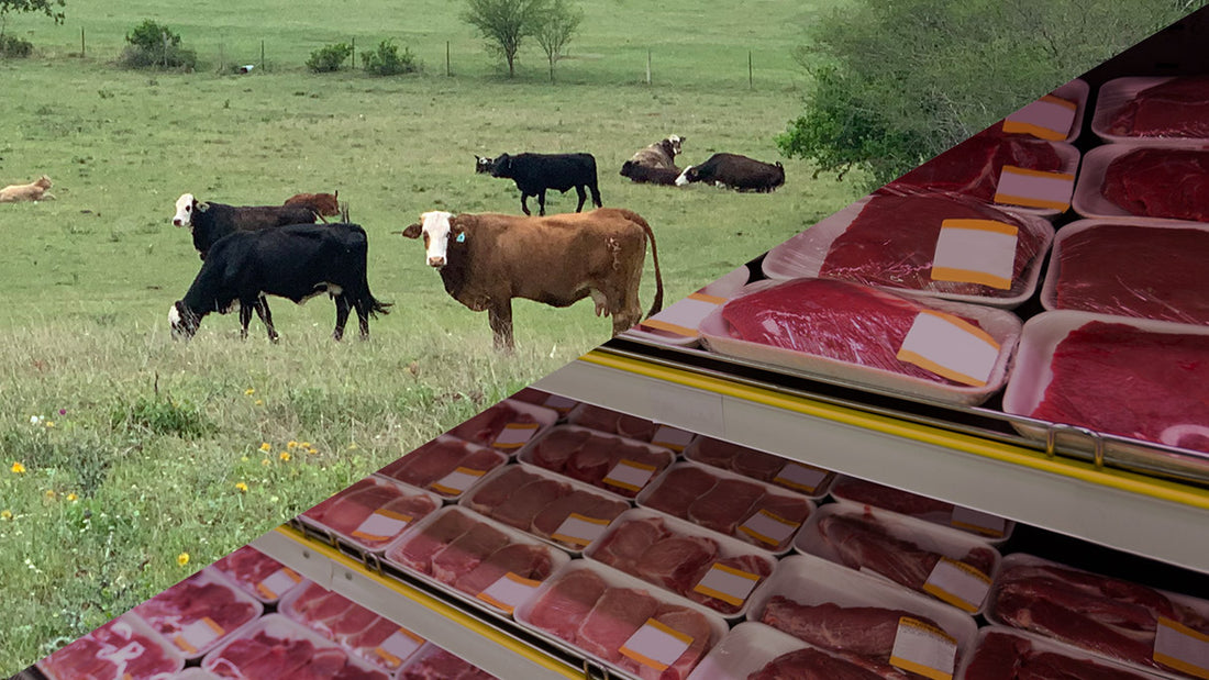 Why Buying Beef Directly From the Ranch is Better for Your Health, Wallet, and Family’s Taste Buds